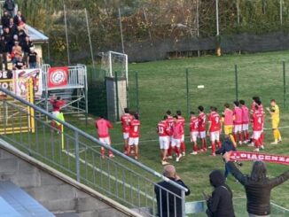 Tuttocuoio - Piacenza