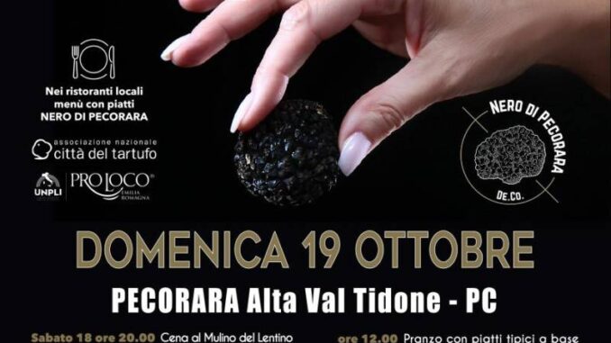 Rassegna del Tartufo Nero di Pecorara 2025 