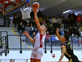 Italia Chef Piacenza