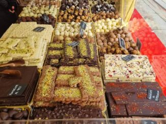 Eventi a Piacenza e dintorni fino a domenica 23 novembre 2025