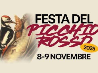 Festa del Picchio Rosso 2025
