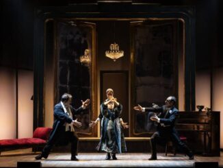 Magnifica presenza piacenza