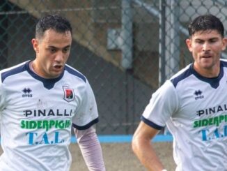 Terre di Castelli-Fiorenzuola