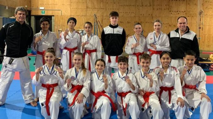 karate piacenza