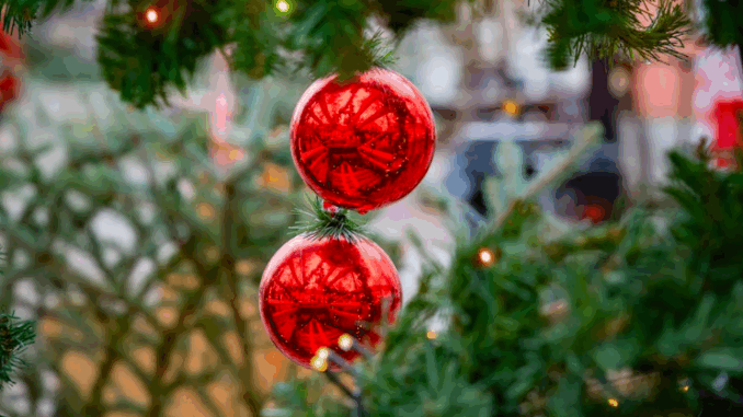 Eventi a Piacenza e dintorni fino a domenica 14 dicembre 2025