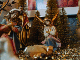 Eventi a Piacenza e dintorni fino a domenica 21 dicembre 2025