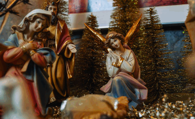 Eventi a Piacenza e dintorni fino a domenica 21 dicembre 2025