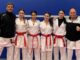 karate piacenza