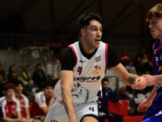 assigeco piacenza