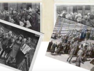 Giorno della Memoria 2026 a Piacenza Carla Antonini