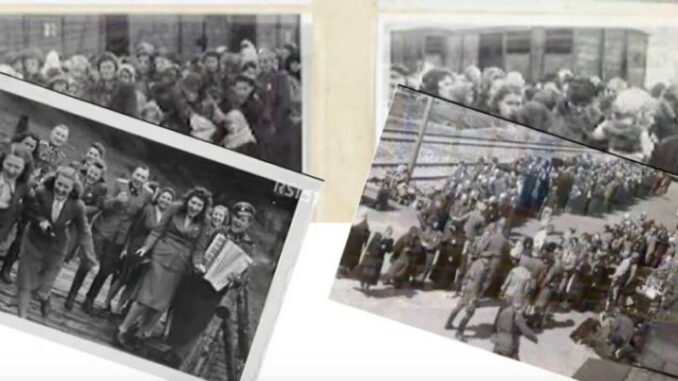 Giorno della Memoria 2026 a Piacenza Carla Antonini