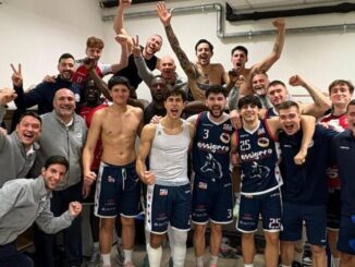 assigeco piacenza