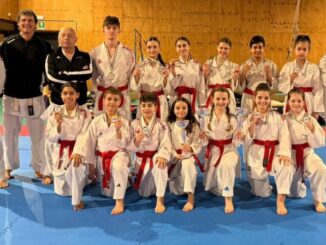 karate piacenza