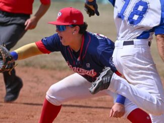 piacenza baseball