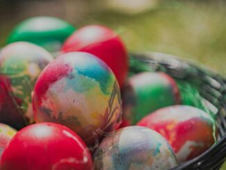 Eventi a Piacenza e dintorni fino a lunedì 6 aprile 2026