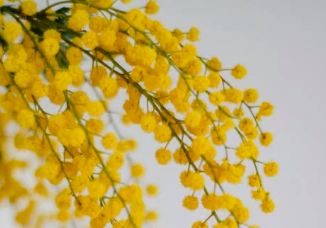 Eventi a Piacenza e dintorni fino all'8 marzo 2026