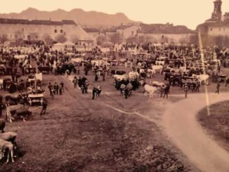 Fiera di San Giuseppe 2026 a Cortemaggiore