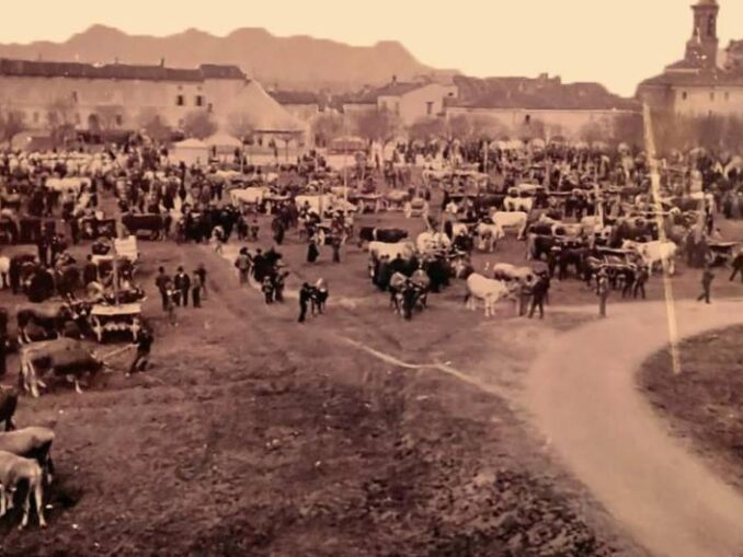 Fiera di San Giuseppe 2026 a Cortemaggiore