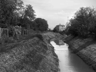 “Il Canale della Fame” di Patrizio Maiavacca