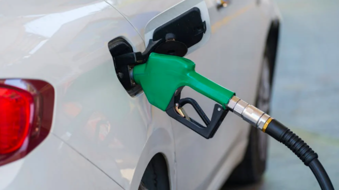 Prezzi dei carburanti alle stelle, Adiconsum Piacenza