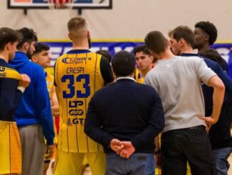 fiorenzuola bees