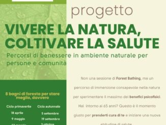 Forest Bathing 2026