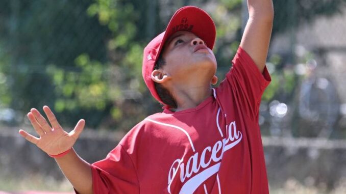 piacenza baseball