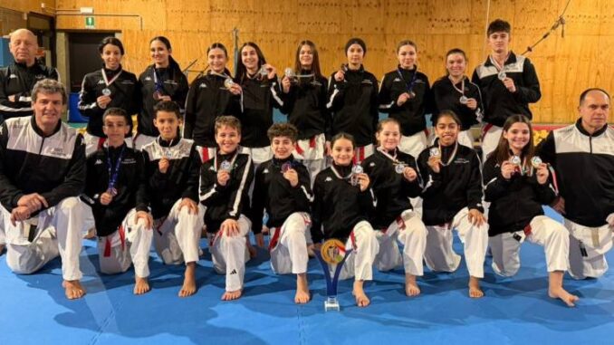 karate piacenza