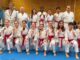 karate piacenza