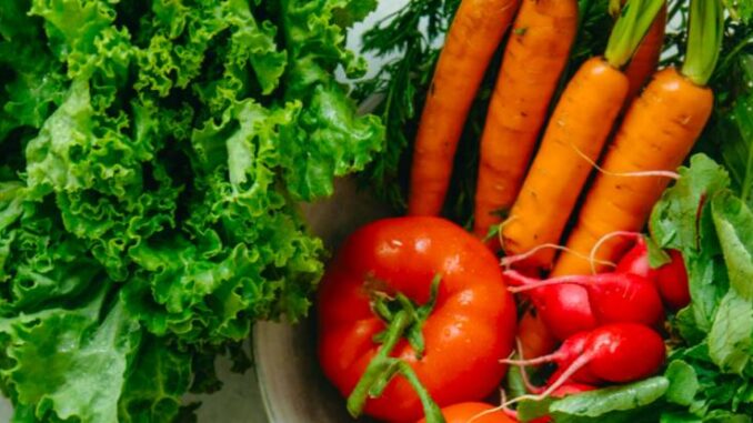 Giornata Mondiale della Salute 2026, l'importanza dell'alimentazione. Monica Maj: "Attenzione alla composizione dei piatti, no al digiuno" - AUDIO