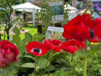 Frutti del Castello Speciale Giardini 2026, il 16 e 17 maggio a Pontenure