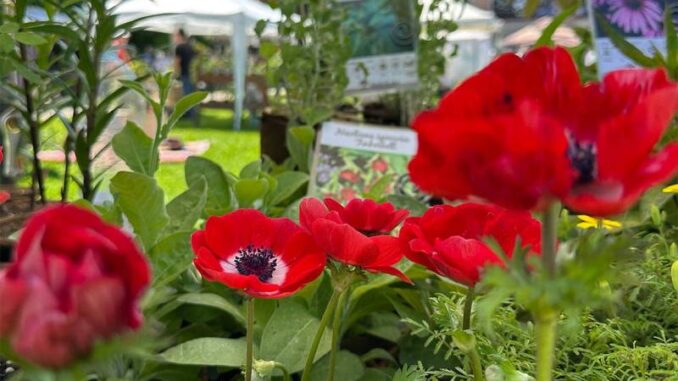 Frutti del Castello Speciale Giardini 2026, il 16 e 17 maggio a Pontenure