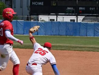 piacenza baseball