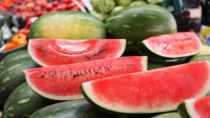 Caldo, settimana rovente anche nel piacentino, Monica Maj