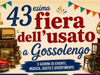 Fiera Dell'Usato 2026 a Gossolengo