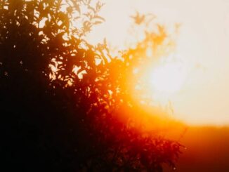 3B Meteo: “Apice del caldo nel weekend"