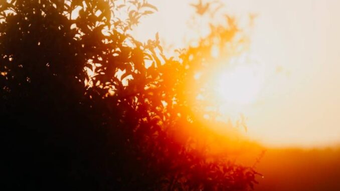 3B Meteo: “Apice del caldo nel weekend"