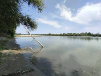 Quarta ondata di calore dell'estate 2026, Nikos Chiodetto: "A Piacenza 39 gradi, afa fino al 6 agosto". Siccità del Po, la situazione peggiora: condizione di “Severità Alta” - AUDIO