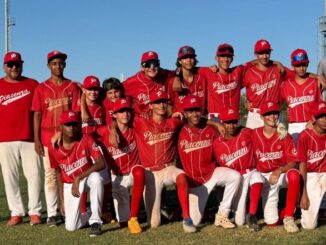 piacenza baseball