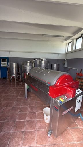 Dalla vigna alla cantina, la vendemmia degli studenti del Raineri Marcora