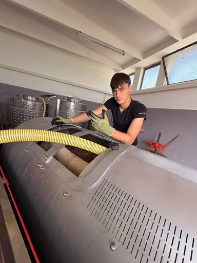 Dalla vigna alla cantina, la vendemmia degli studenti del Raineri Marcora