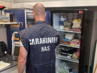 Dalle blatte sul pavimento all'olio esausto non smaltito, Nas in un ristorante della Bassa: sanzioni per oltre 1500 euro
