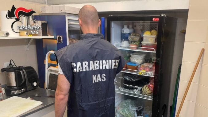 Dalle blatte sul pavimento all'olio esausto non smaltito, Nas in un ristorante della Bassa: sanzioni per oltre 1500 euro