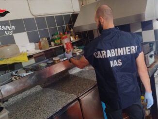 "Diffuse carenze igienico sanitarie", Nas in un bar di Piacenza: sanzione da mille euro