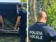 Droga tra le campagne di Rottofreno, la polizia locale sequestra una piantagione di cannabis pronta per lo spaccio