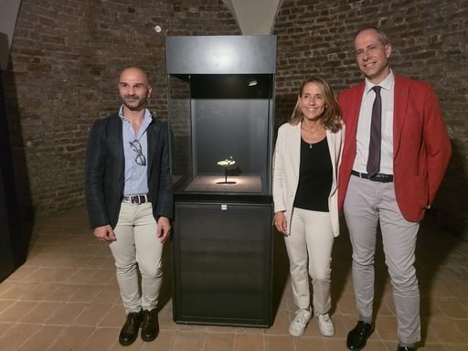 Il Fegato Etrusco torna "a casa" a Palazzo Farnese dopo la vetrina americana FOTO e AUDIO