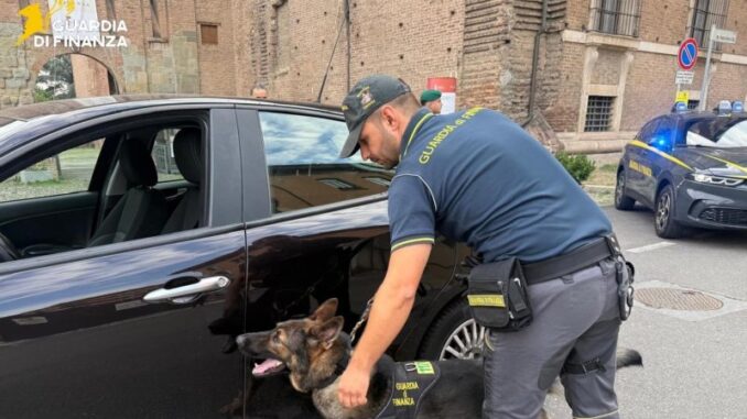 Intensificati i controlli antidroga della Finanza a Castel San Giovanni, sequestrate oltre 20 dosi di hashish e un coltello