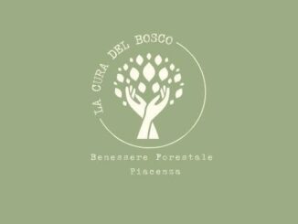 La Cura del Bosco, presentato l'esito del Progetto “Vivere la Natura, Coltivare la Salute”, Massimo Esposito: "Ottimi risultati". Nuove attività il 2 e 3 ottobre AUDIO