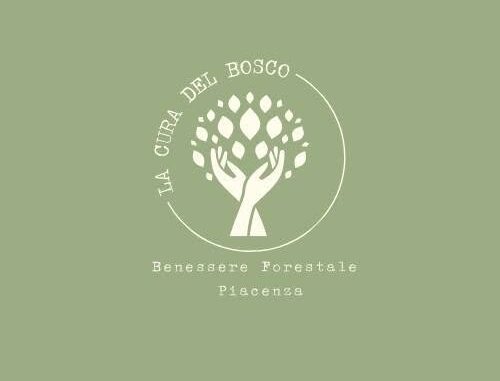 La Cura del Bosco, presentato l'esito del Progetto “Vivere la Natura, Coltivare la Salute”, Massimo Esposito: "Ottimi risultati". Nuove attività il 2 e 3 ottobre AUDIO
