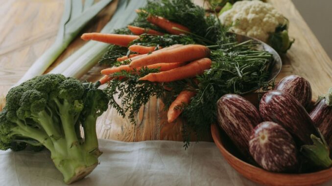 Obesità infantile, il rischio di conseguenze a lungo termine. La dietista piacentina Maj: "Aiutare i bimbi nella varietà dei cibi, si mangia meno bene rispetto a prima" AUDIO